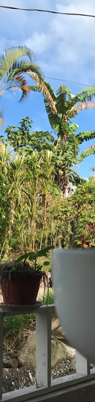 In Turrialba Kaffee geniessen - hier, wo er angebaut wird